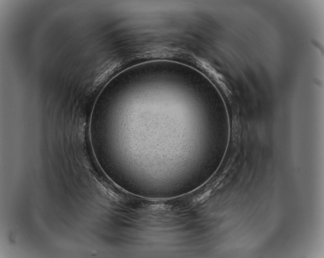 X0000091470153200708231346