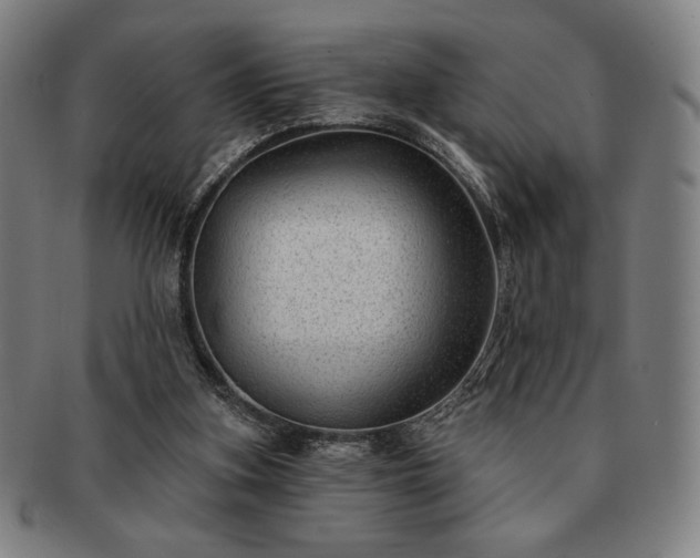 X0000091470155200708231346