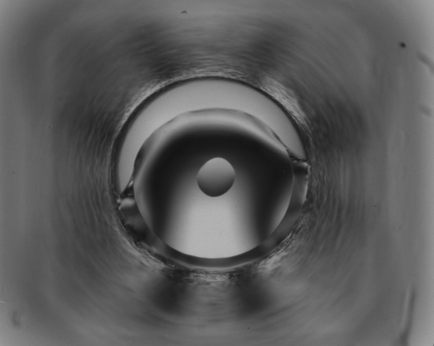 X0000091470156200708231346