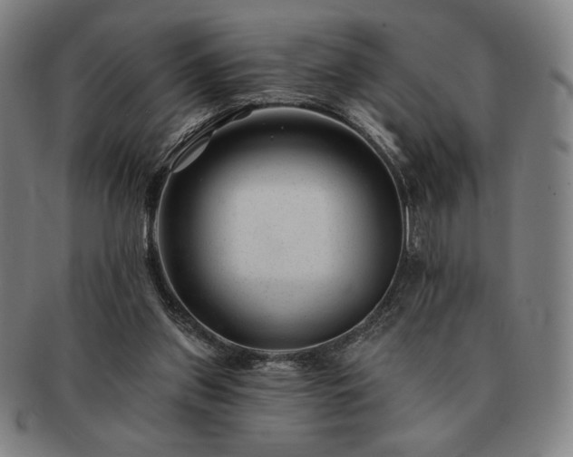 X0000091470157200708231346