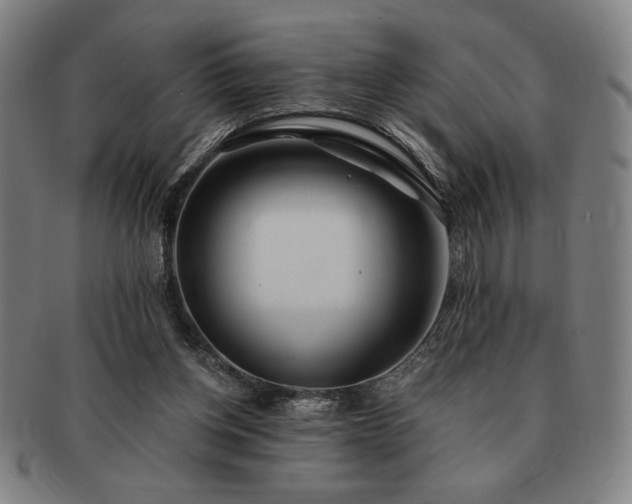 X0000091470158200708231346