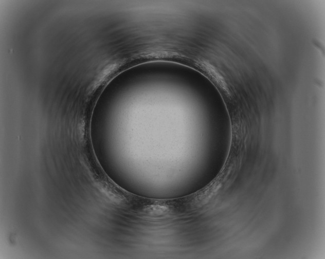 X0000091470159200708231346