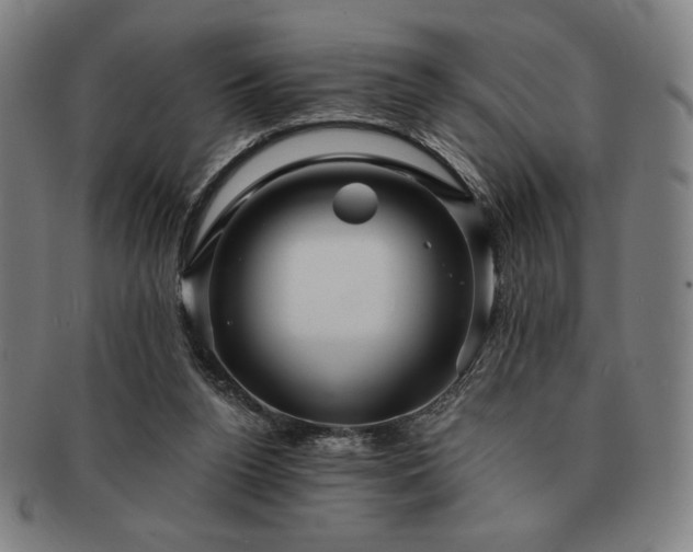 X0000091470160200708231346