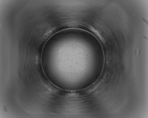 X0000091470161200708231346