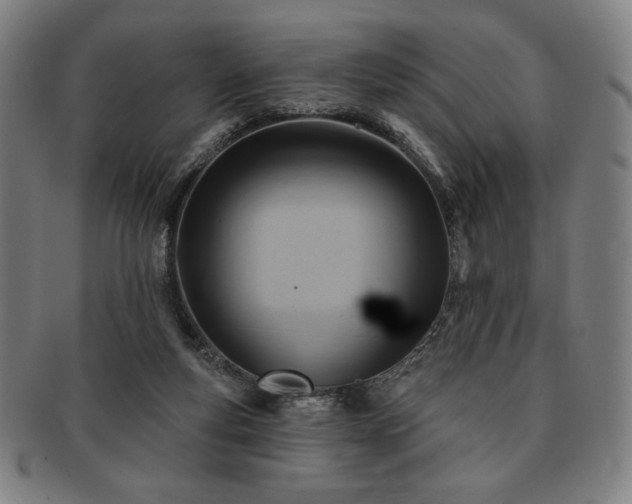 X0000091470163200708231346