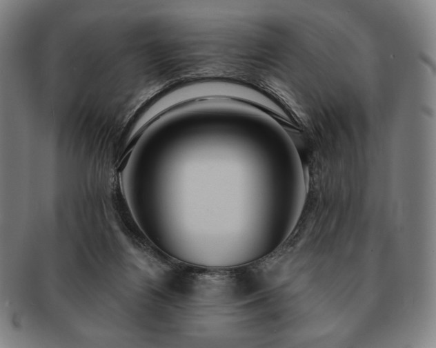 X0000091470164200708231346