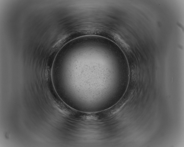 X0000091470165200708231346