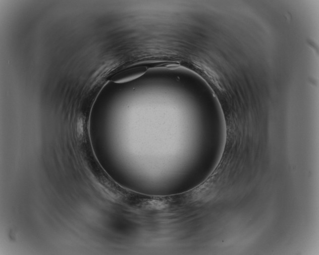 X0000091470166200708231346