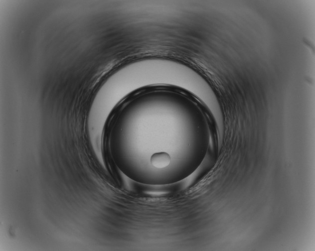 X0000091470168200708231346