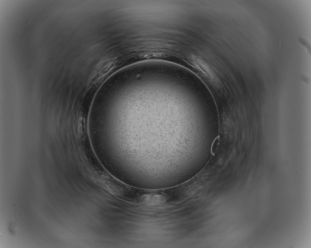 X0000091470169200708231346