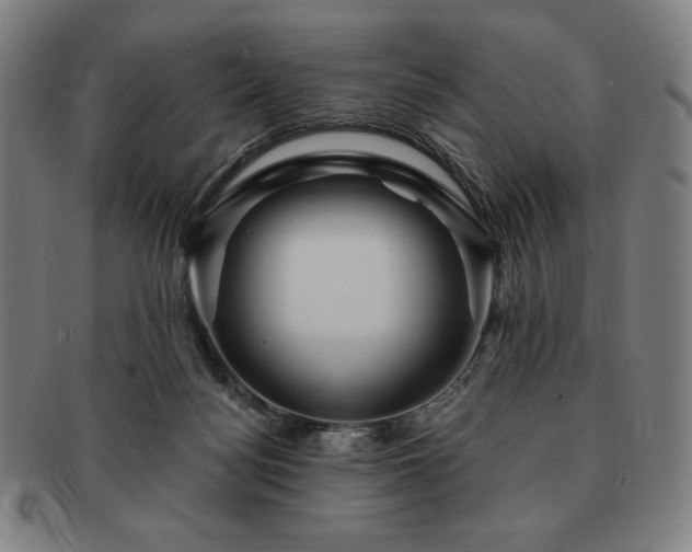 X0000091470172200708231346