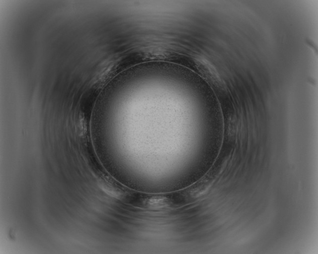 X0000091470173200708231346