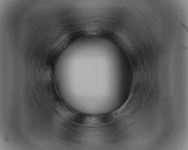 X0000091470174200708231346