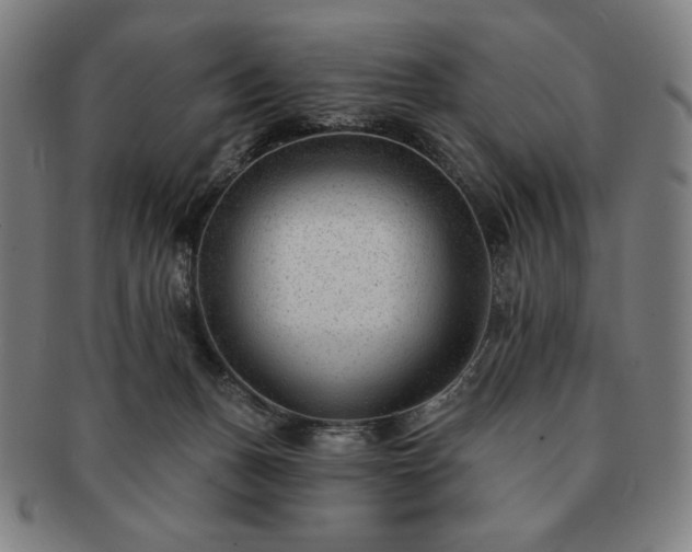 X0000091470175200708231346