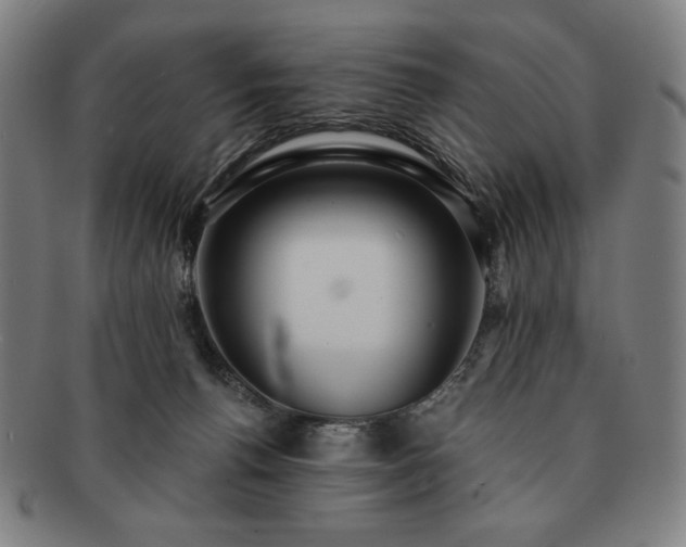 X0000091470176200708231346