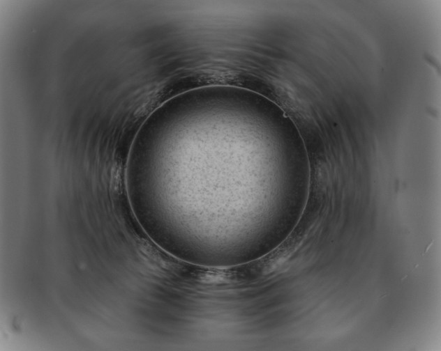 X0000091470177200708231346