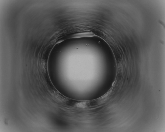 X0000091470178200708231346