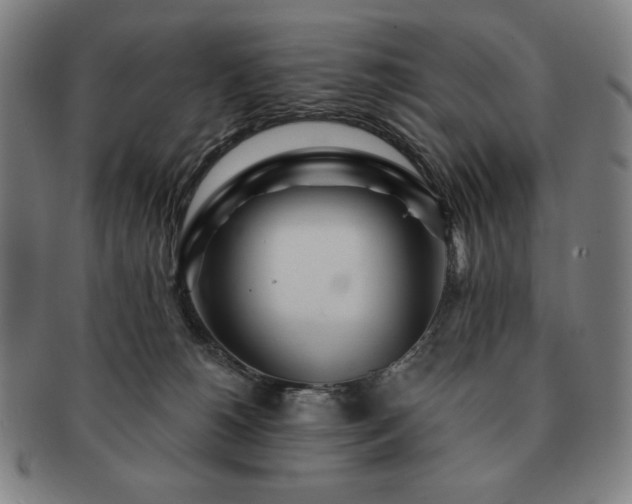 X0000091470180200708231346