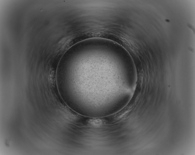 X0000091470181200708231346