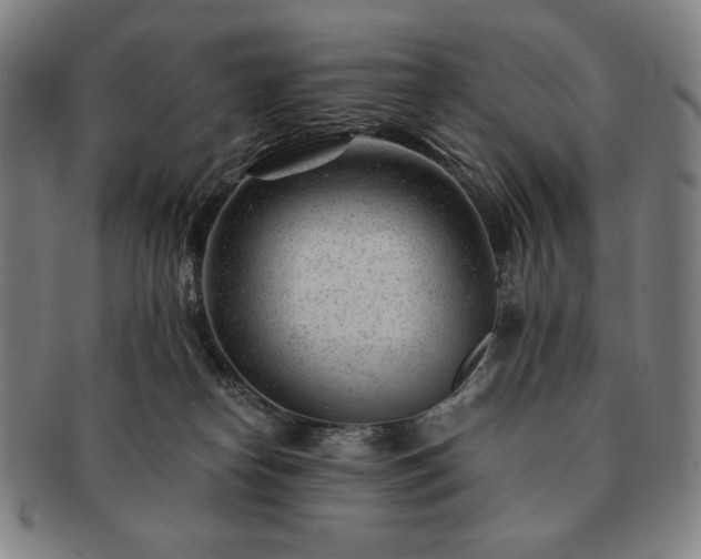 X0000091470182200708231346