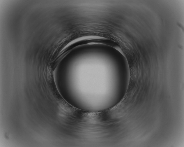 X0000091470184200708231346