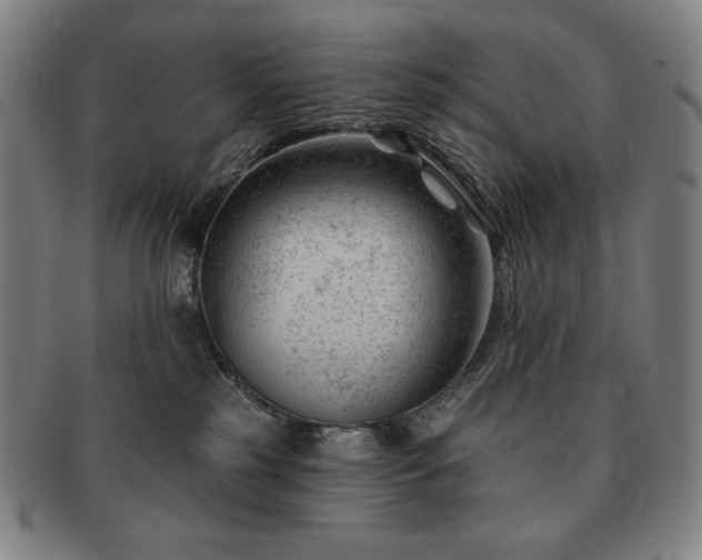 X0000091470185200708231346