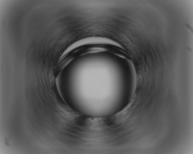 X0000091470186200708231346