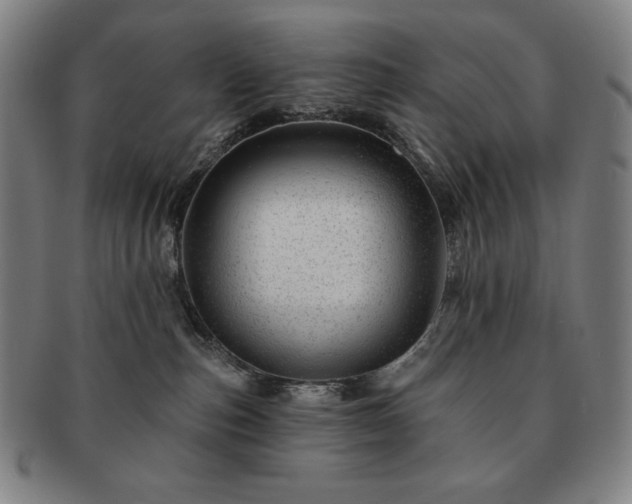 X0000091470187200708231346