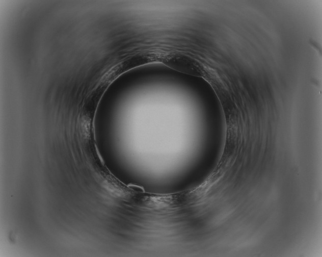 X0000091470188200708231346