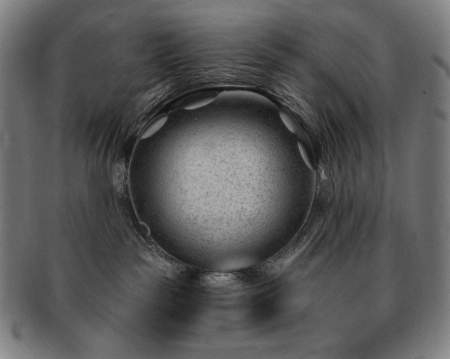 X0000091470189200708231346