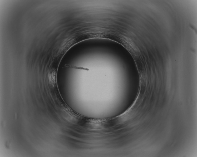 X0000091470190200708231346