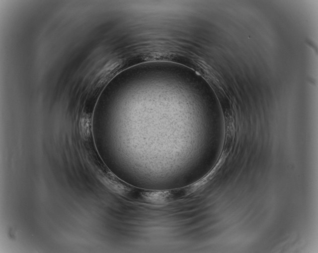 X0000091470191200708231347