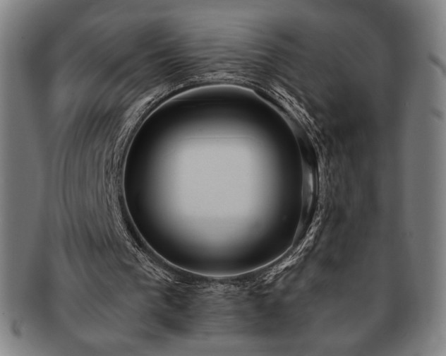 X0000091470193200708231346