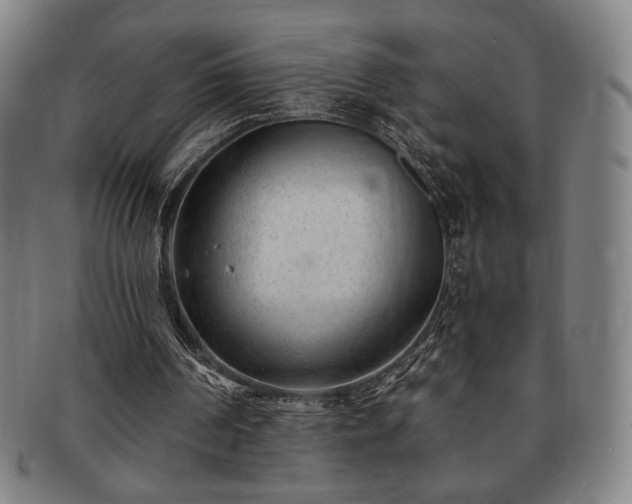 X0000091470194200708231346