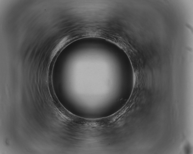 X0000091470195200708231346