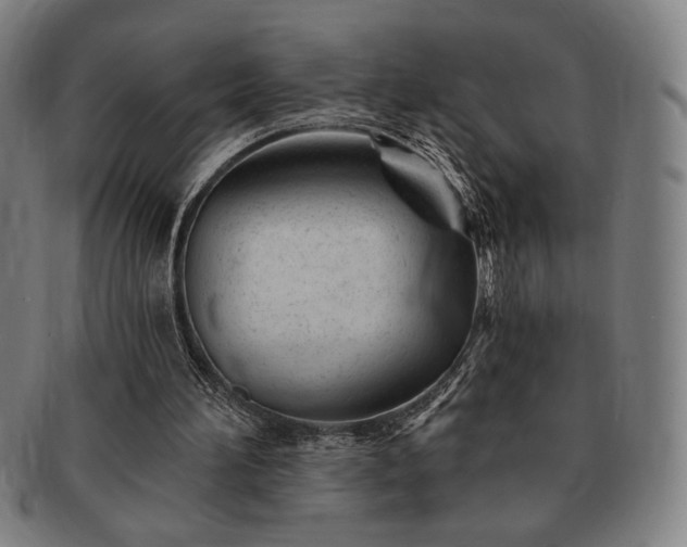 X0000091470196200708231346