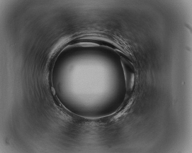 X0000091470197200708231346