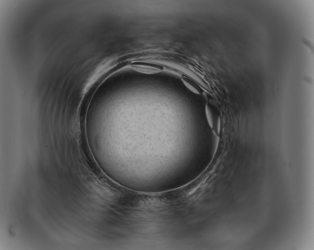 X0000091470198200708231346