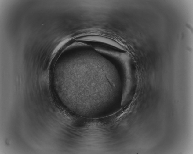 X0000091470200200708231346