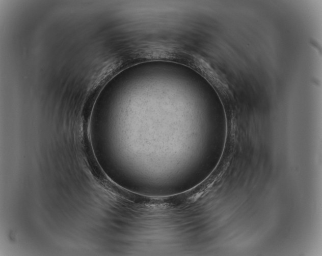 X0000091470202200708231346