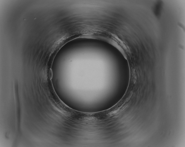 X0000091470203200708231346