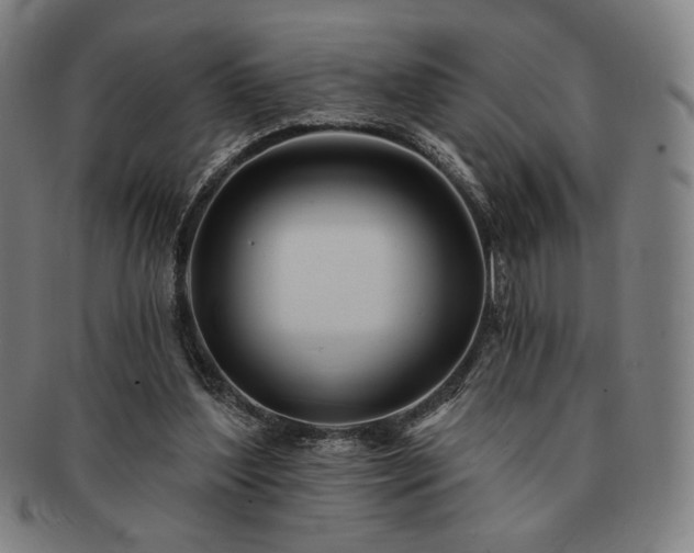 X0000091470204200708231346