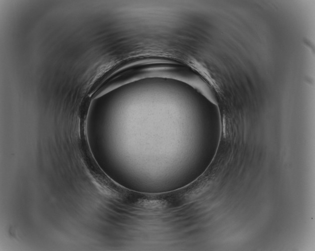 X0000091470205200708231346