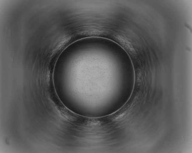 X0000091470206200708231346