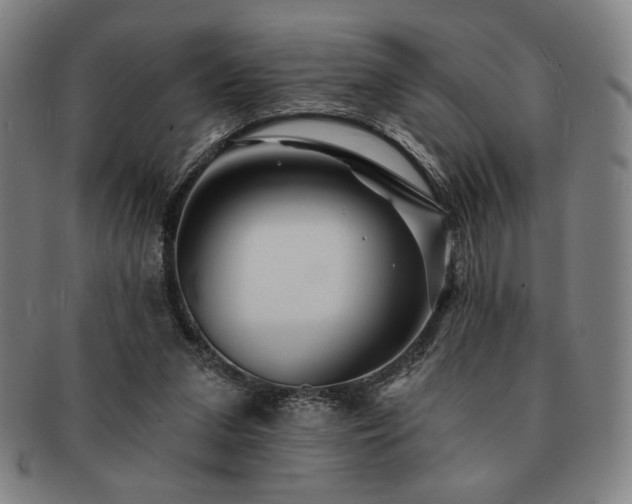 X0000091470207200708231346