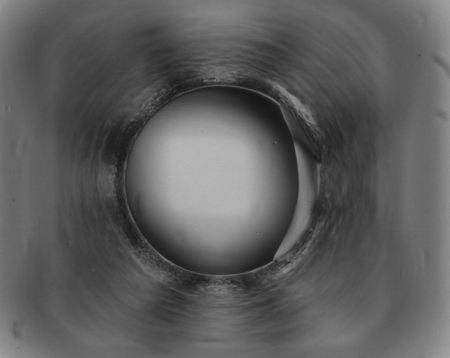 X0000091470209200708231346