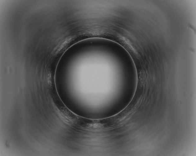 X0000091470212200708231346