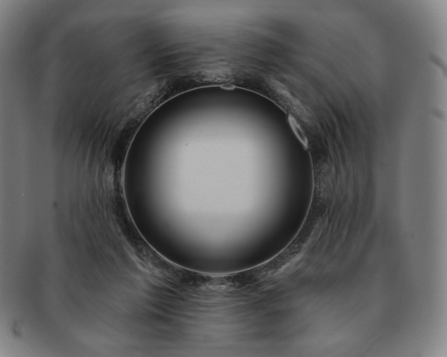 X0000091470213200708231346