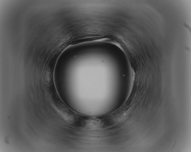 X0000091470215200708231346