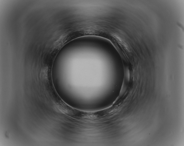 X0000091470217200708231346